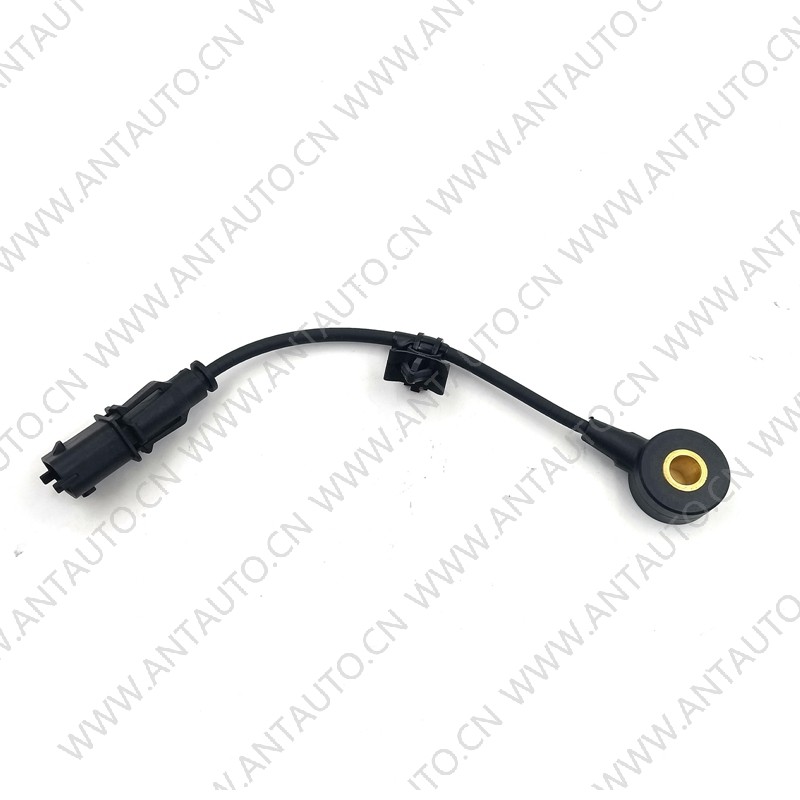 Knock Sensor