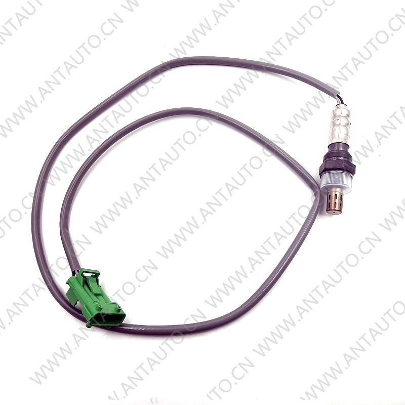 Oxygen sensor