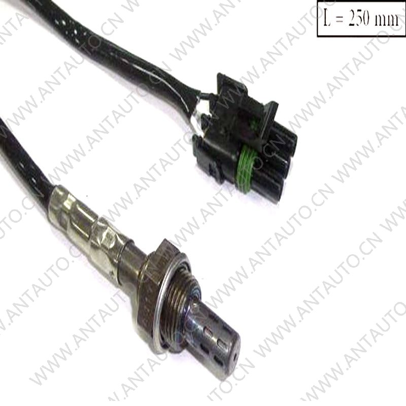 Oxygen sensor Oxygen sensor