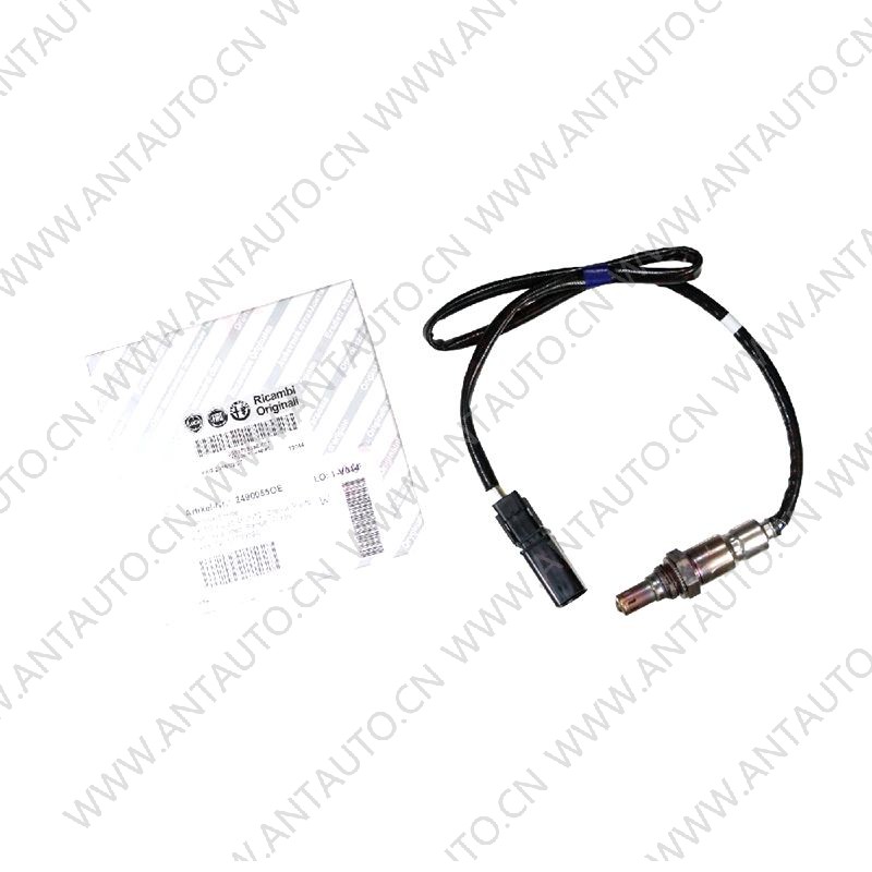 Oxygen sensor
